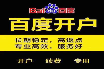 SEM营销案例：电商平台的流量密码